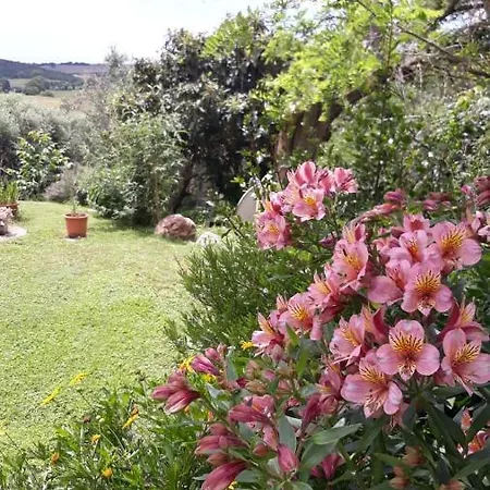 Le Colline Di Gospodarstwo agroturystyczne *
