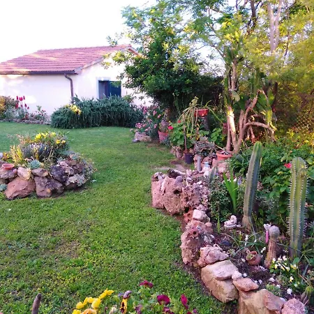 Le Colline Di